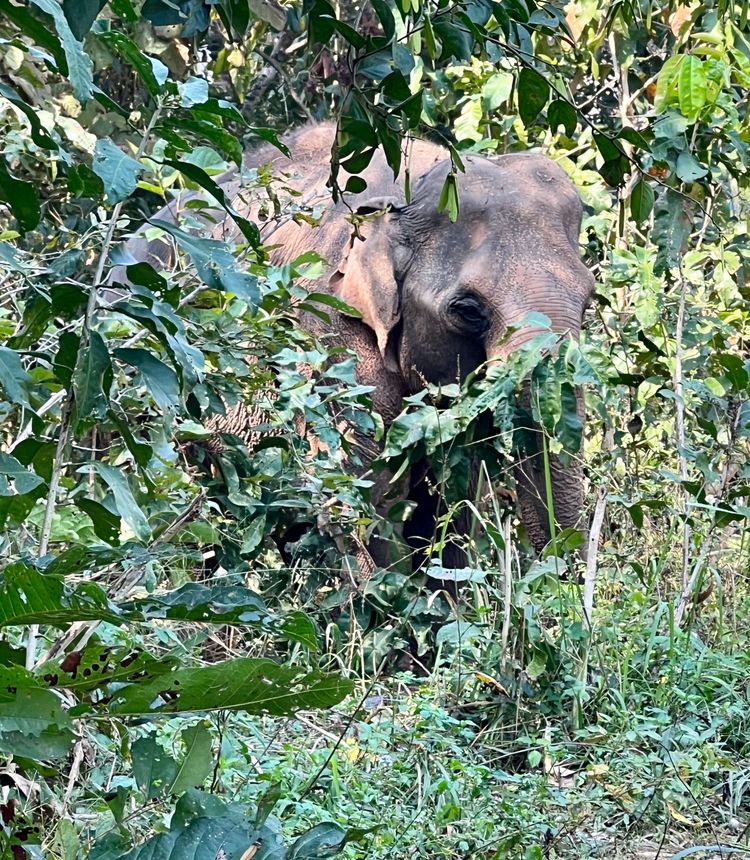 Catching up on Chiang Mai